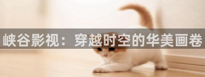人人影巴