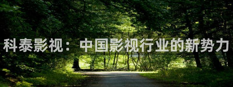 人人影视app下载
