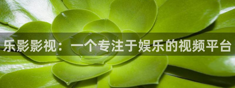 私人人影院