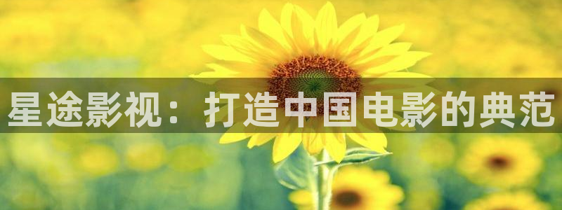 人人影视在线观看