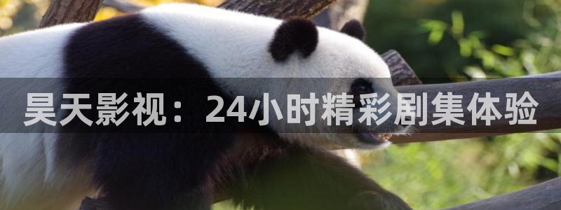 人人影院免费在线观看的电影