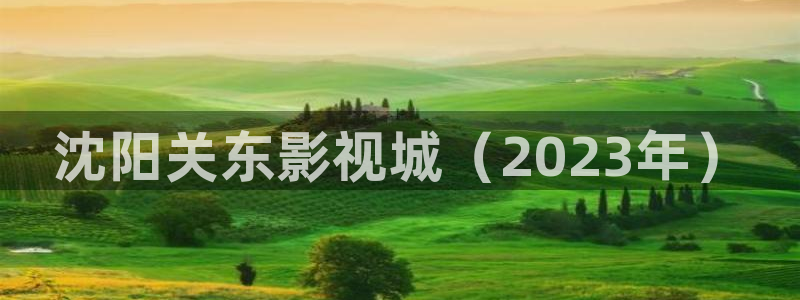 人人影音播放器