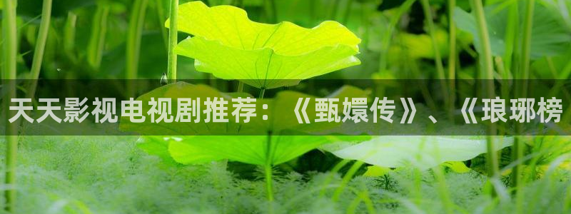 人人影院艳史