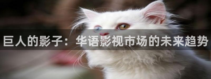 人人人人影院