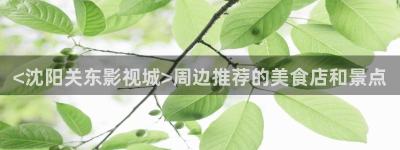 人人视频网址