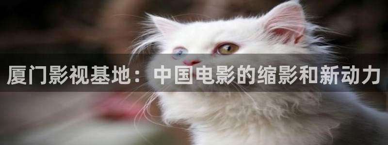 亚洲人人影院