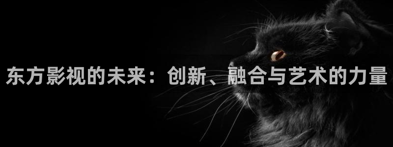 人人影音电脑版