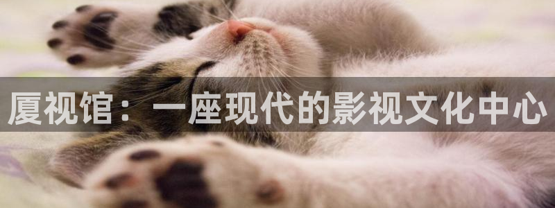 人人影院网