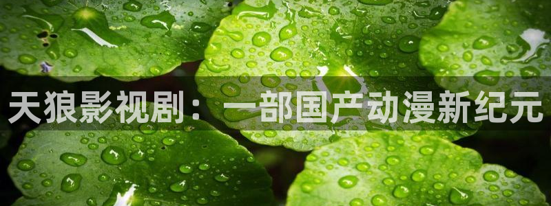 人人影院免费在线观看的电影
