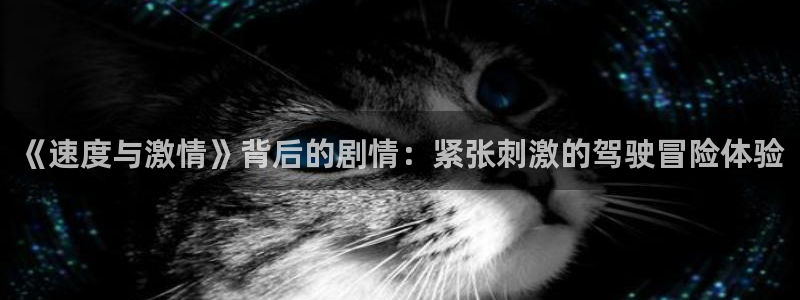 人人影院免费观看